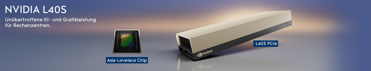 NVIDIA L40S NVIDIA L40S
