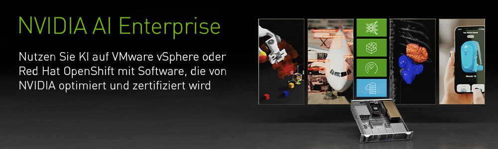 NVIDIA AI Enterprise NVIDIA AI Enterprise
