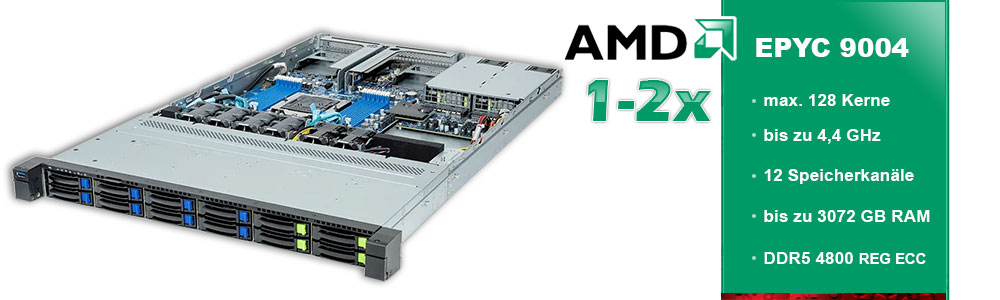 AMD EPYC (1-Sockel) AMD EPYC (1-Sockel)