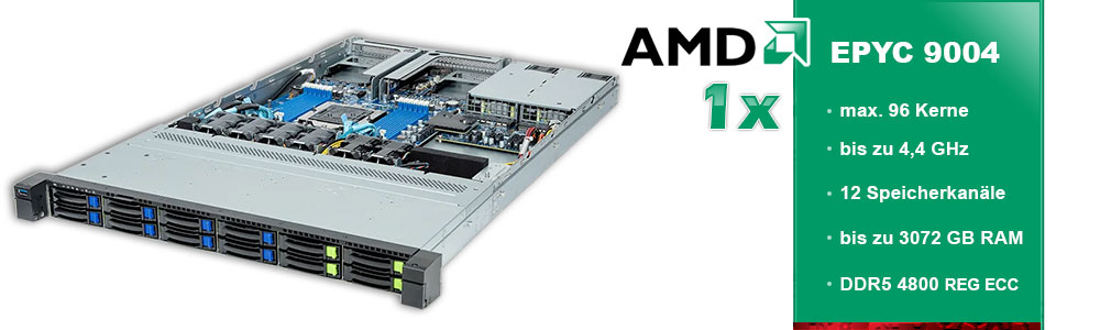 AMD EPYC (1-Sockel) AMD EPYC (1-Sockel)