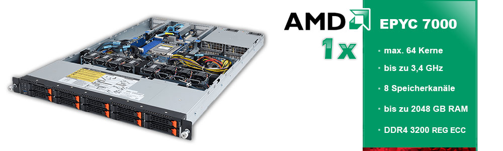 AMD EPYC (1-Sockel) AMD EPYC (1-Sockel)