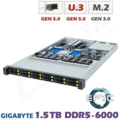D12z-M1-ZT