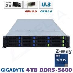 D22x-M2-ES-2xGPU