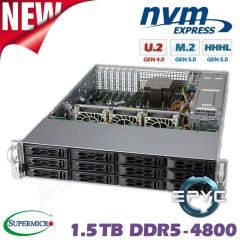 D10z-M2-ZG
