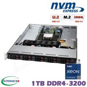 D10x-M1-WI