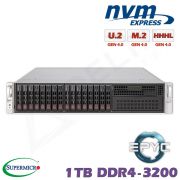 D10z-M2-ZM