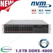 D10z-M2-ZG