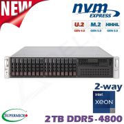 D20x-M2-ES