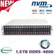 D10z-M2-ZG