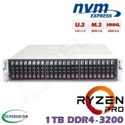 D10z-M2-CP-PRO