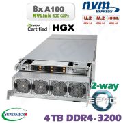D20z-M4-ZR-8xA100