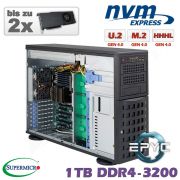 D10z-M4-ZM-2xGPU