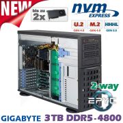 D22z-M4-ZG-2xGPU