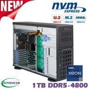 D10x-M4-ES-2xGPU