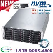 D10z-M4-ZG