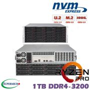 D10z-M4-CP-PRO