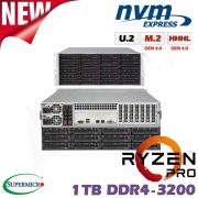 D10z-M4-CP-PRO