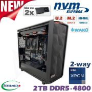 D20x-WK-ES-2xGPU