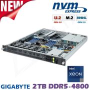 D12x-M2-ES