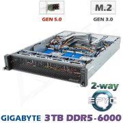 D22z-M2-ZT