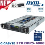 D12x-M2-ES-8xGPU