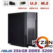 D13z-M5-ZS-2xGPU