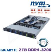 D12z-M1-ZM