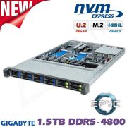 D12z-M1-ZG
