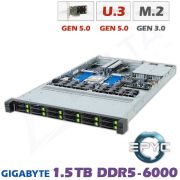 D12z-M1-ZT