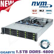 D12z-M2-ZG