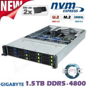 D12z-M2-ZG-2xGPU