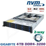 D22z-M2-ZR