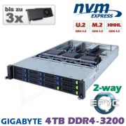 D22z-M2-ZM-3xGPU