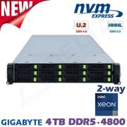 D22x-M2-ES
