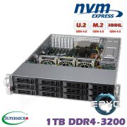 D10z-M2-ZM