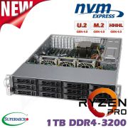 D10z-M2-CP-PRO