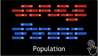 population_