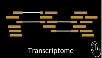 transcriptome_